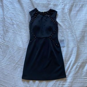 Hailey Adrianna Papell stuffed dress